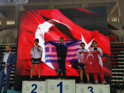 aleksiou dimitrios